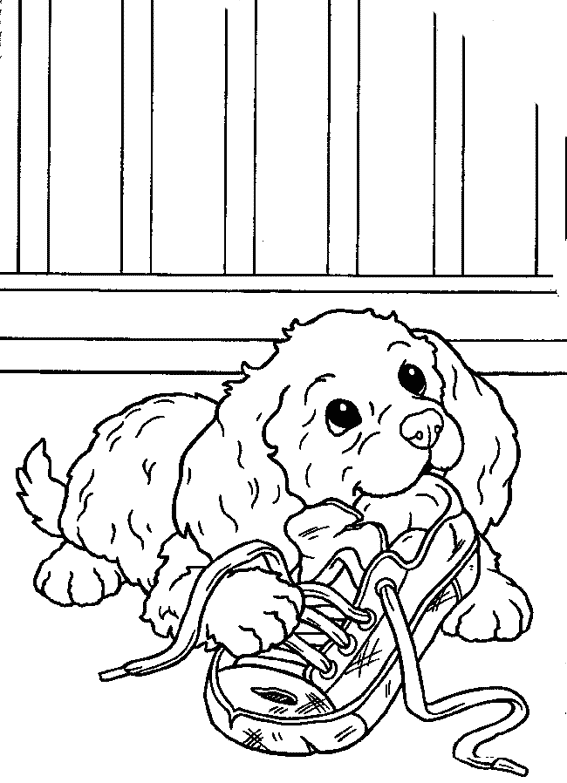 Perro #7949