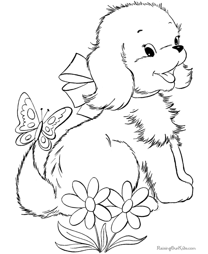 Perro #7950