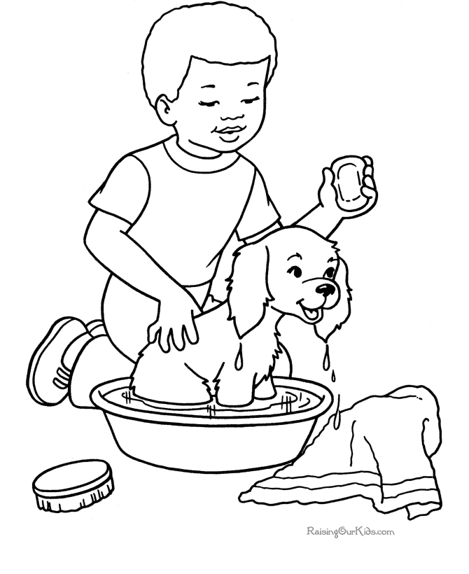 Perro #7964