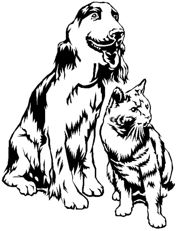 Perro #7965