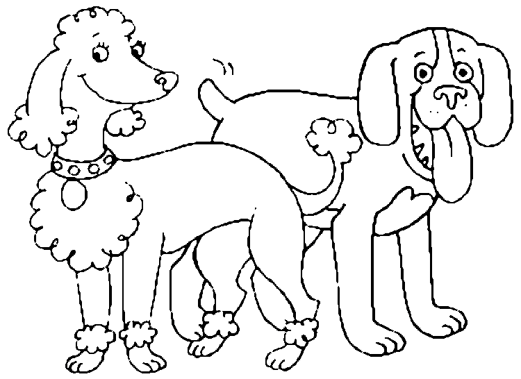Perro #7966