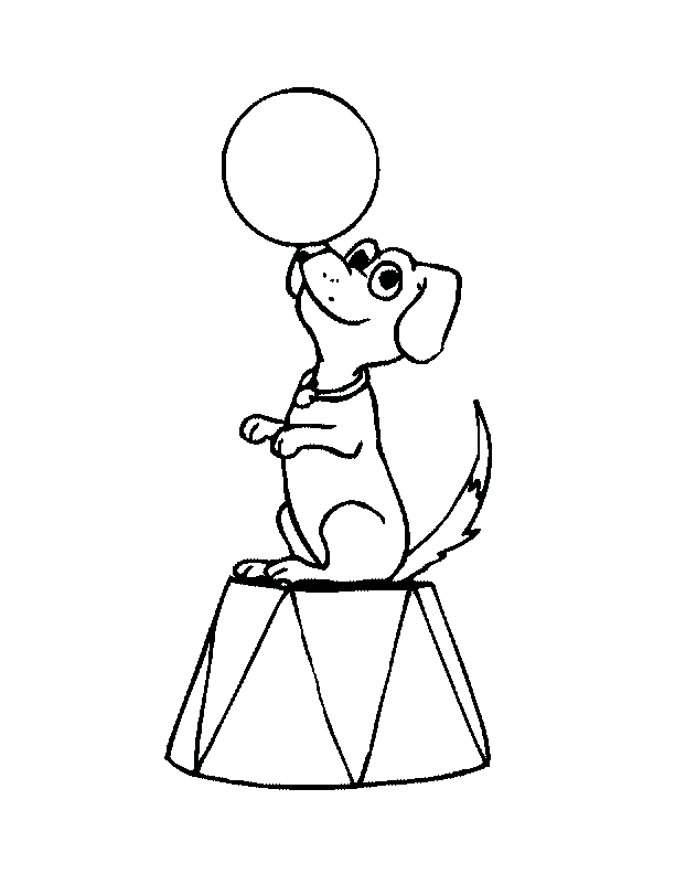 Perro #7975