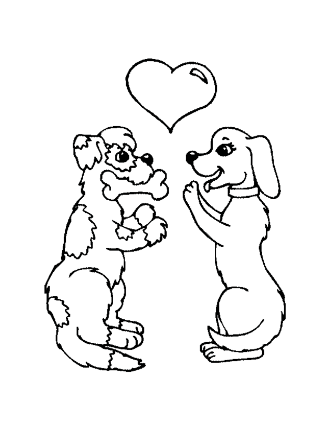 Perro #7978