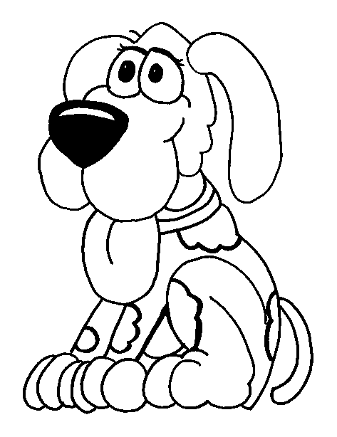 Perro #7984