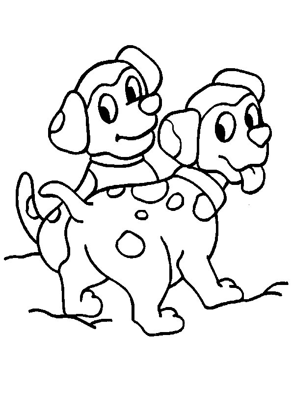 Perro #7988