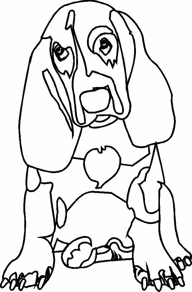 Perro #7990