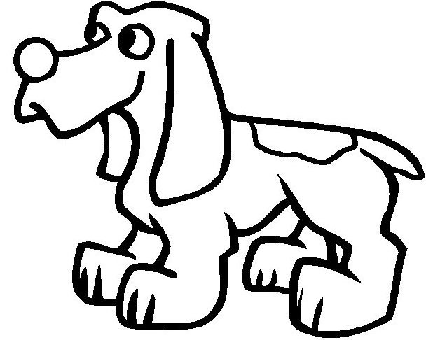 Perro #7991