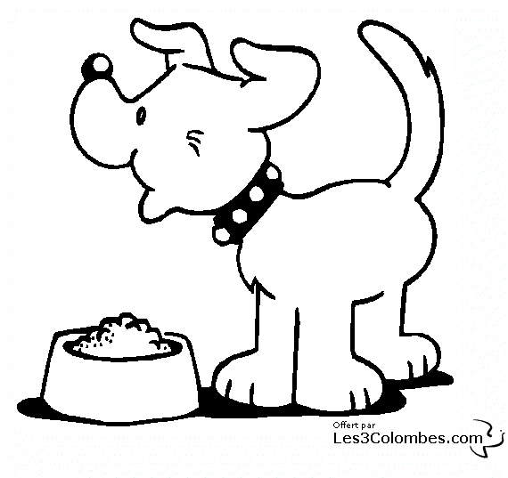 Perro #7994