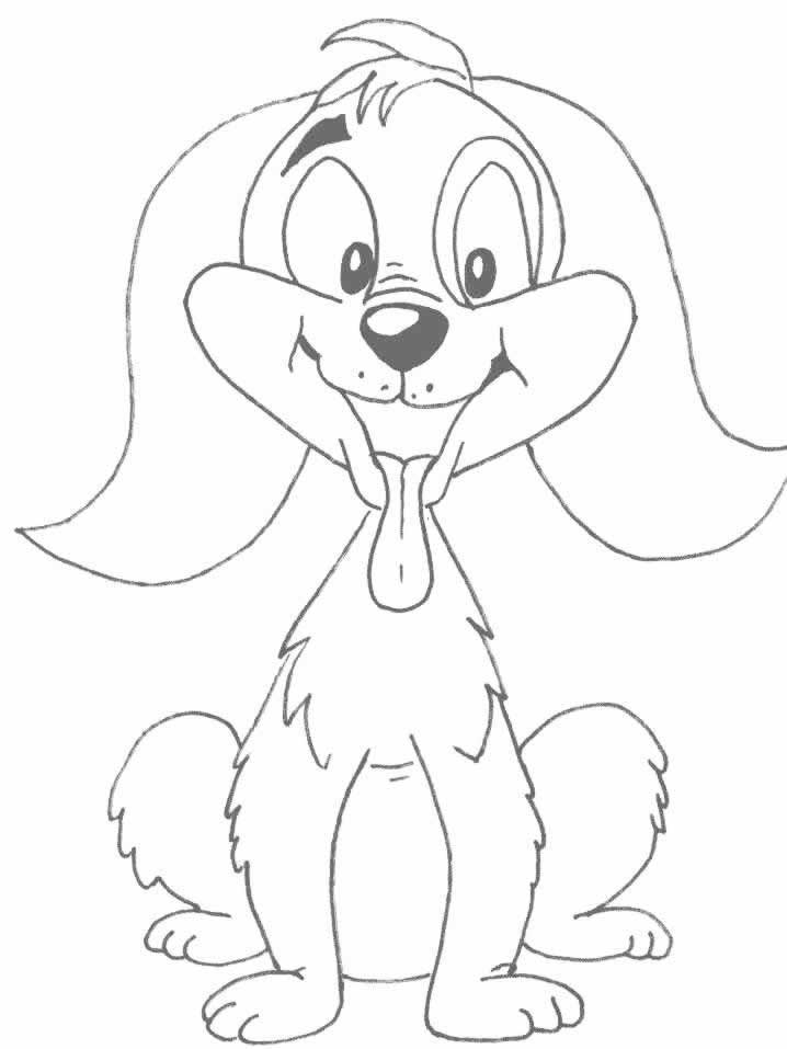 Perro #7996