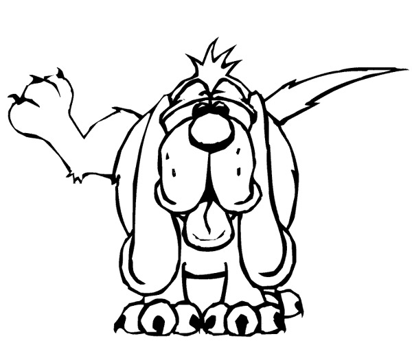 Perro #7997
