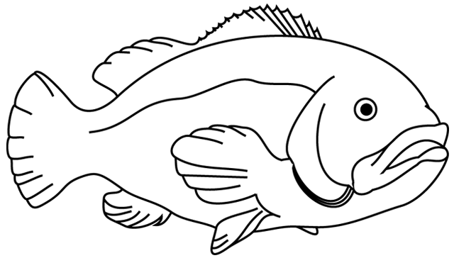 Pescado #8004