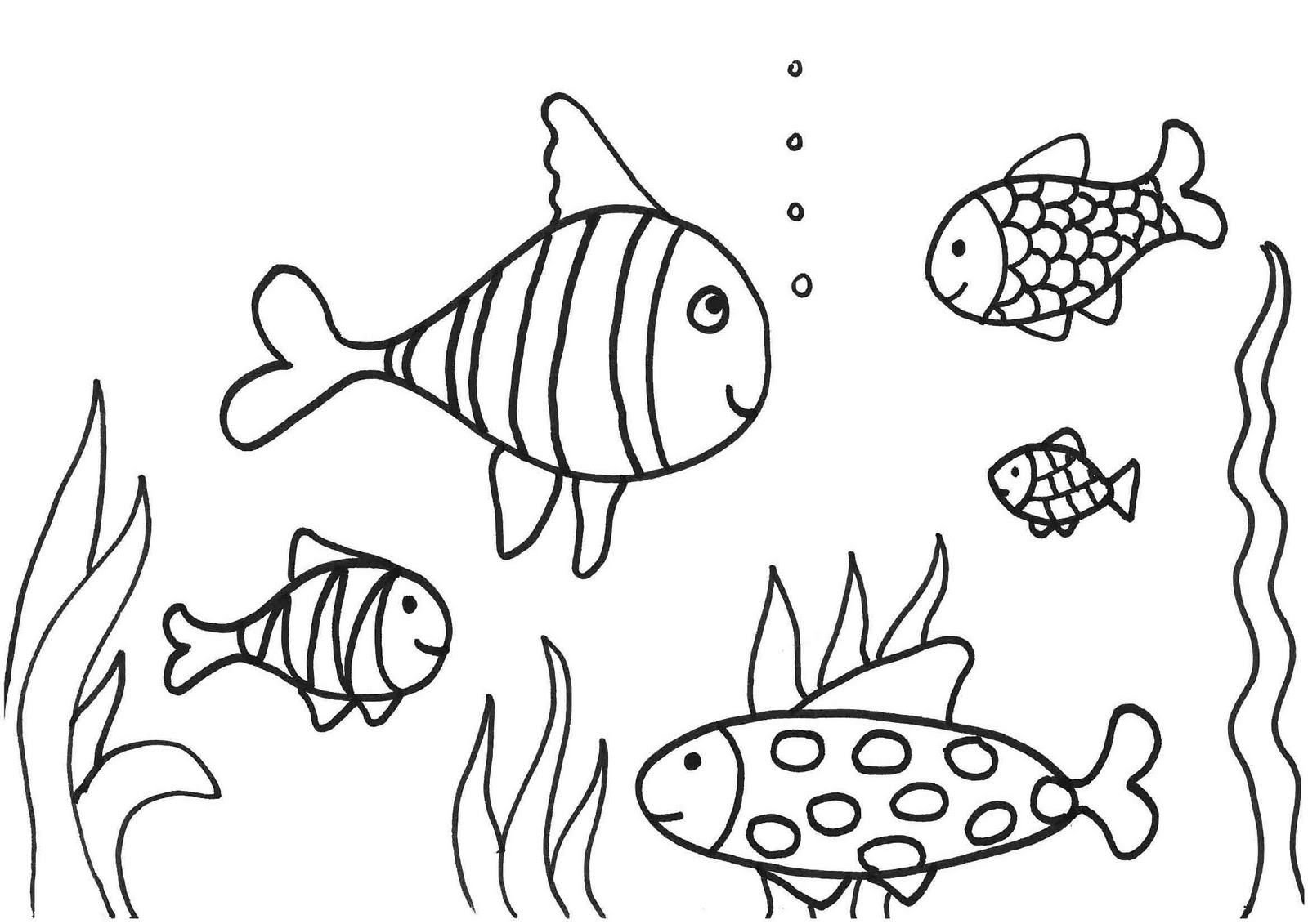 Pescado #8013