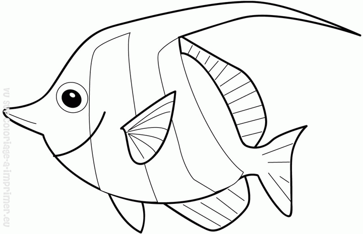 Pescado #8016