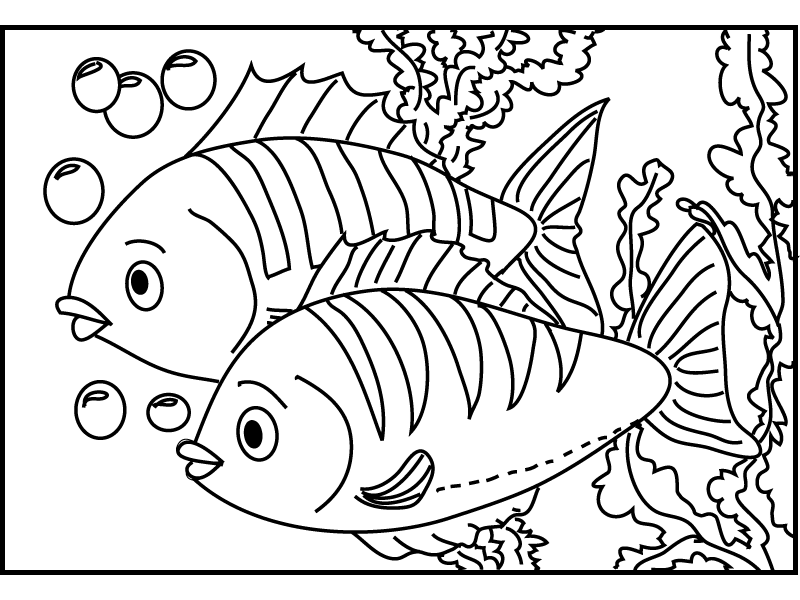 Pescado #8025