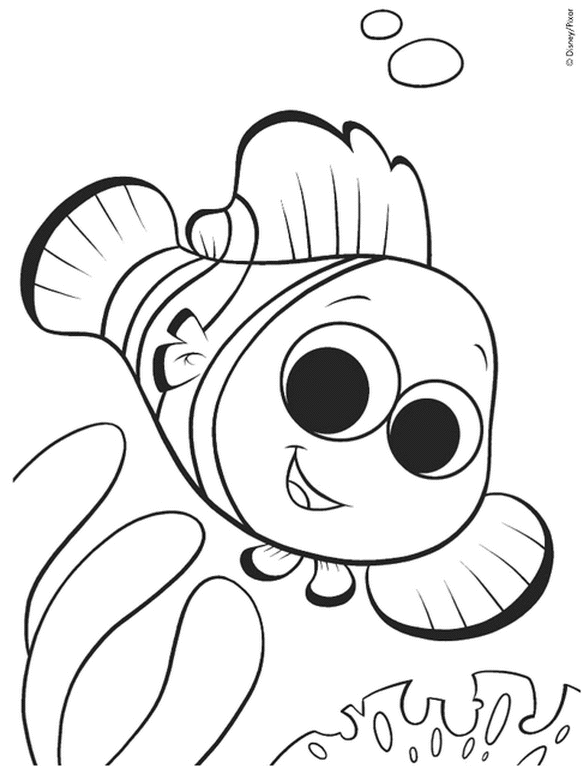 Pescado #8032