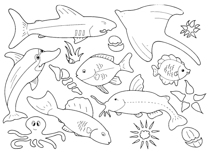 Pescado #8033