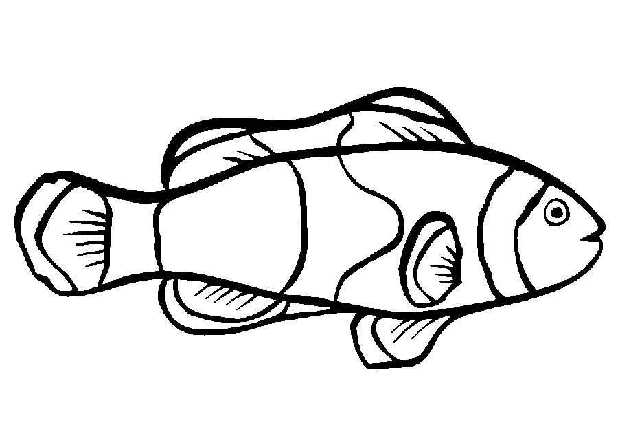 Pescado #8034