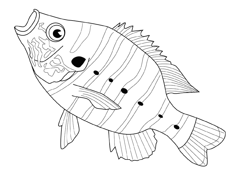 Pescado #8037
