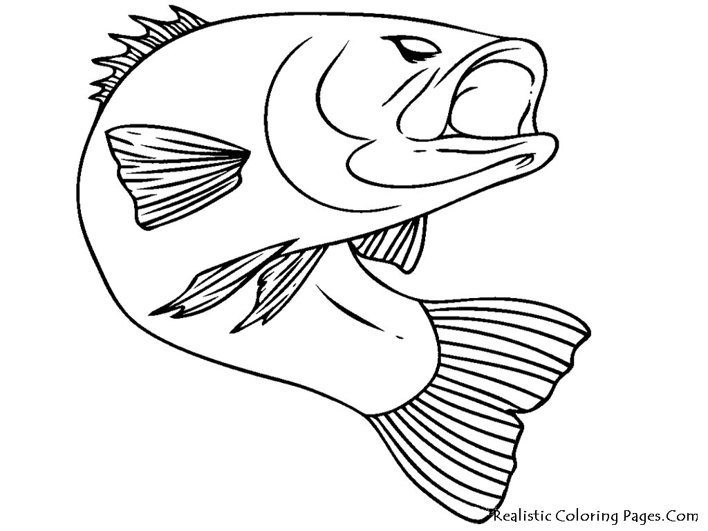 Pescado #8041
