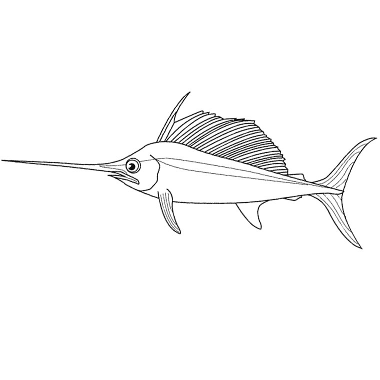 Pescado #8046