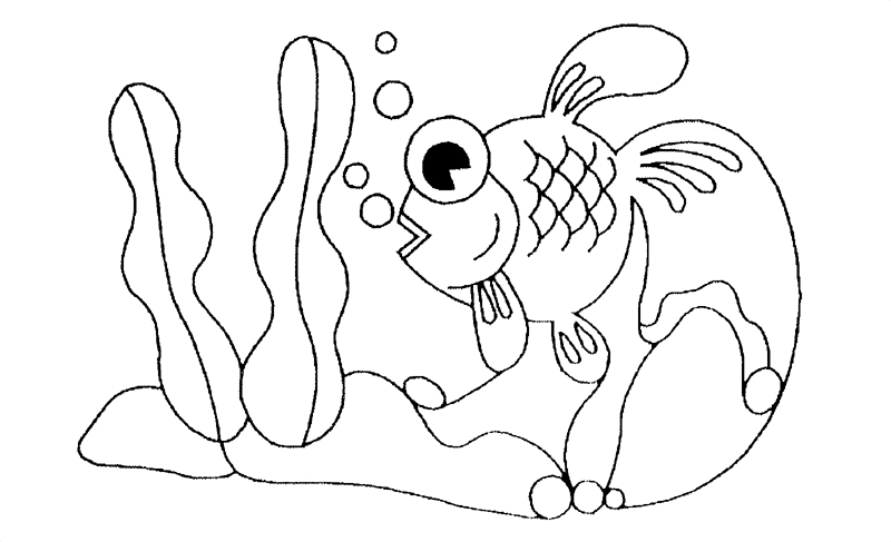 Pescado #8053