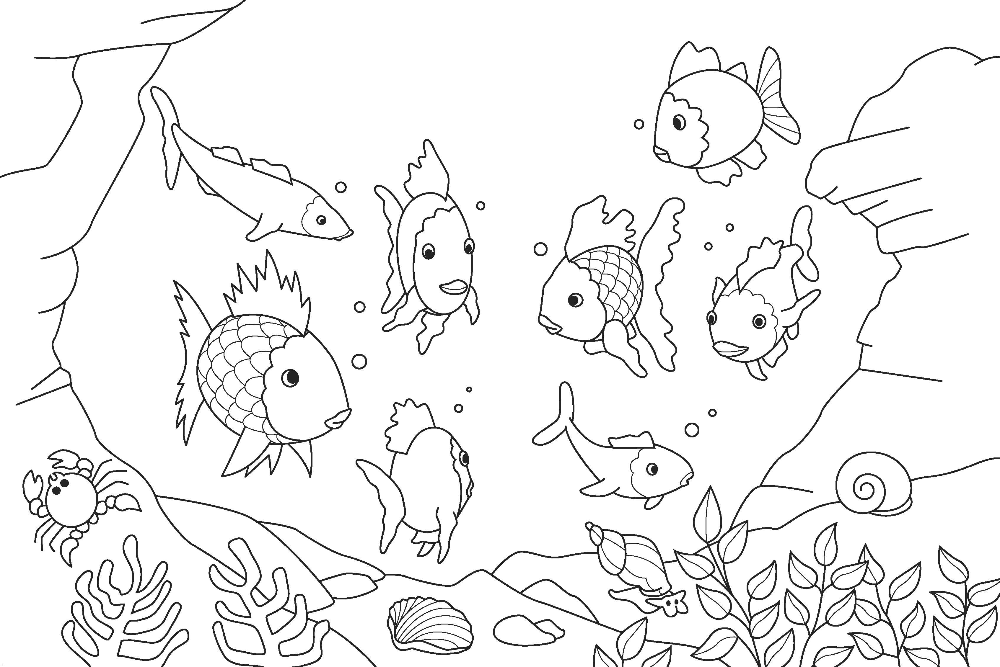 Pescado #8059