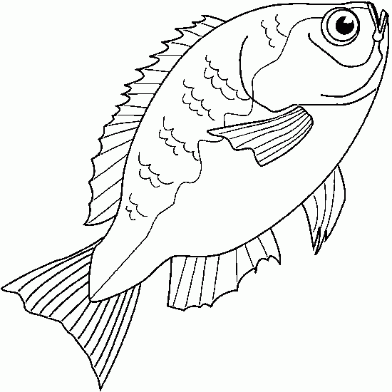 Pescado #8064