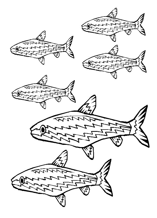 Pescado #8074