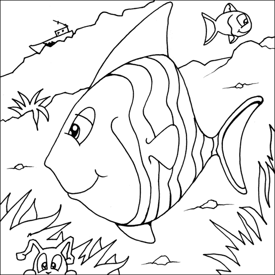 Pescado #8077