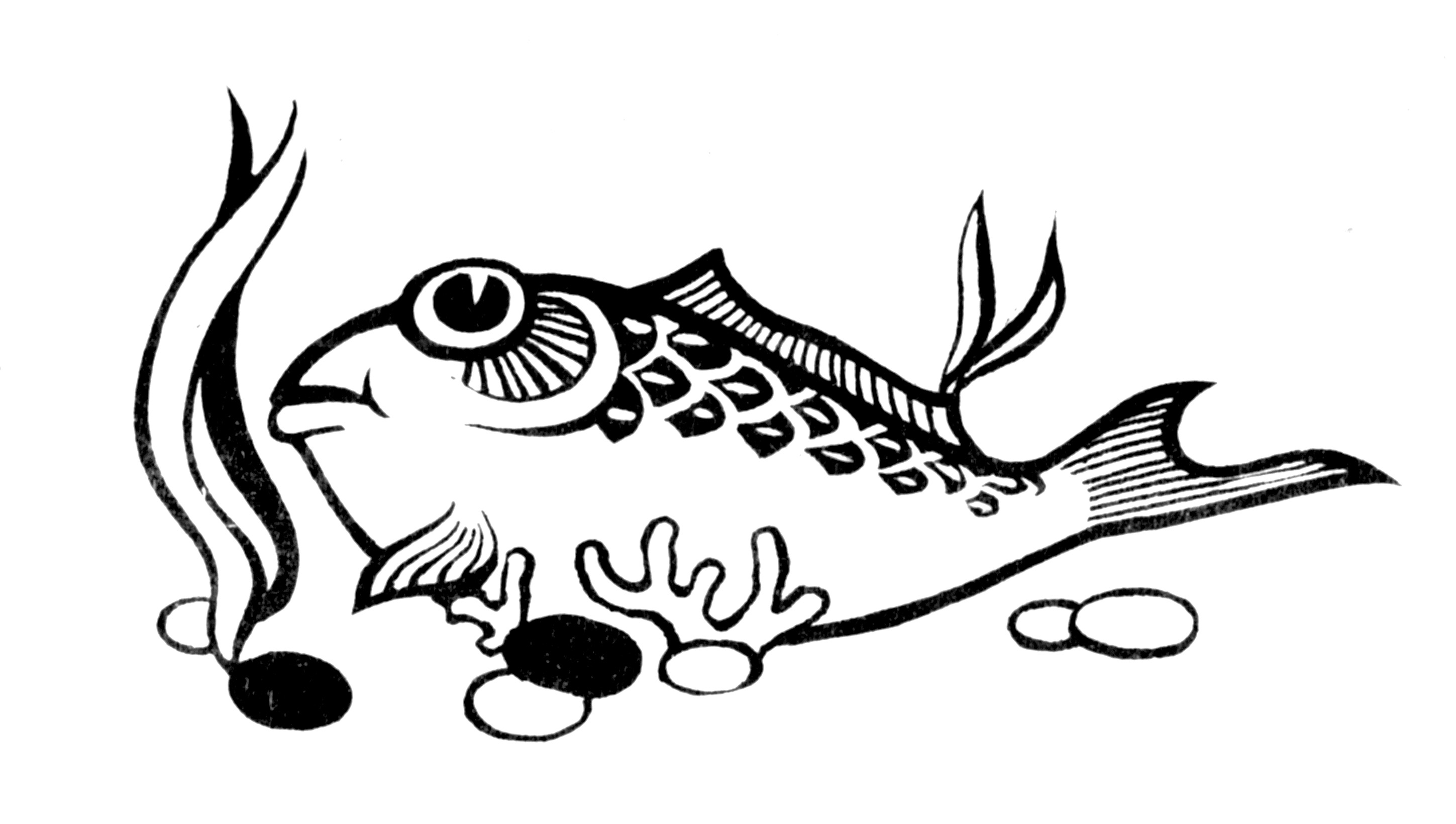 Pescado #8082