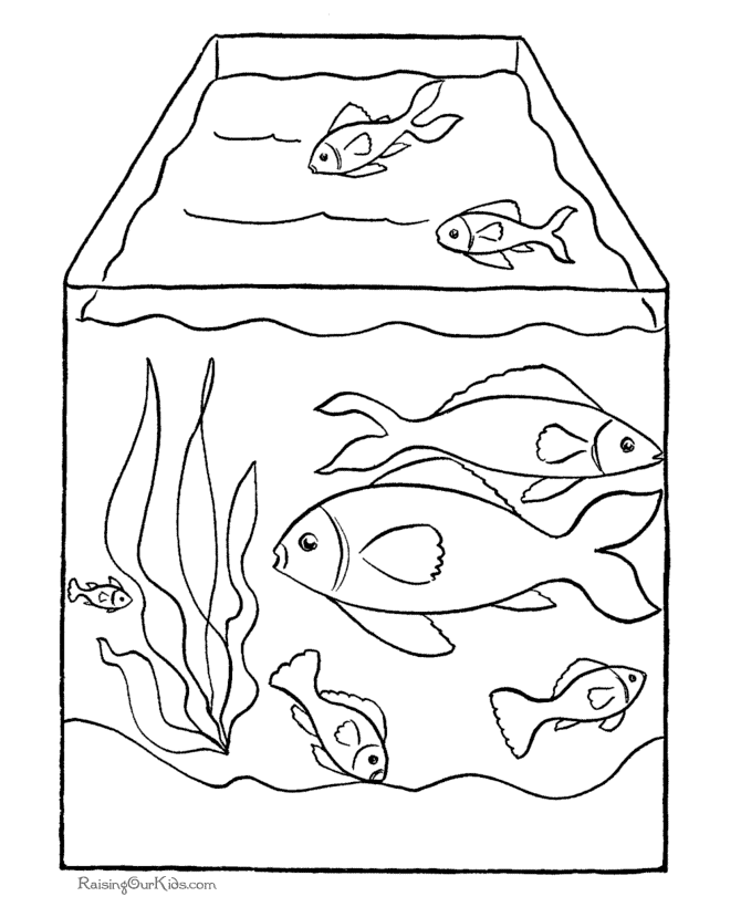 Pescado #8086