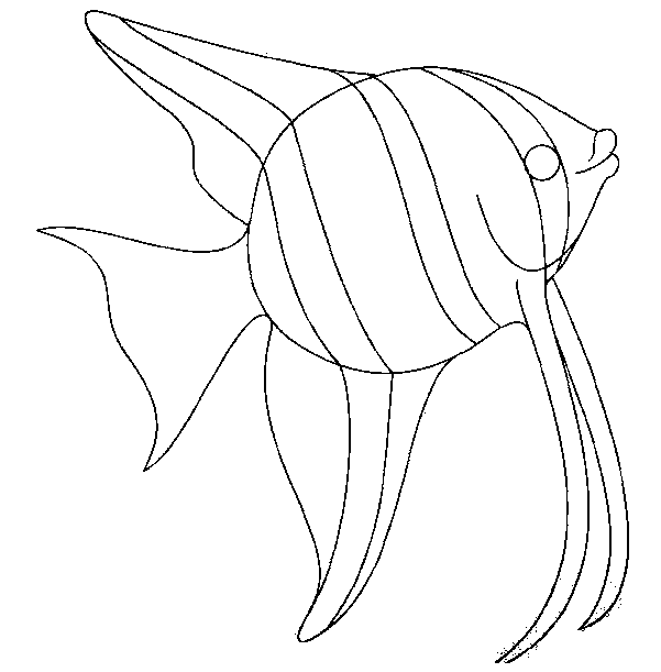 Pescado #8100