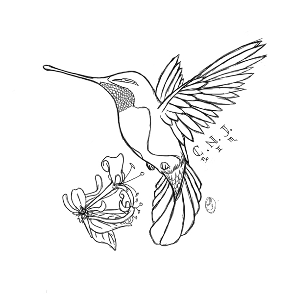 Colibrí #8101