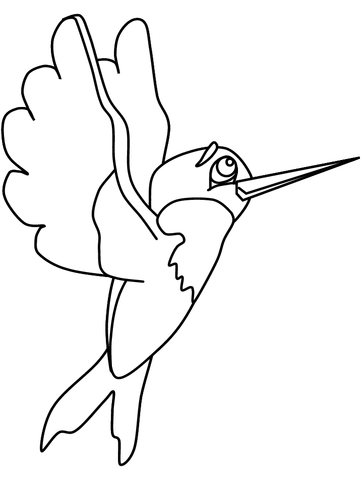 Colibrí #8111