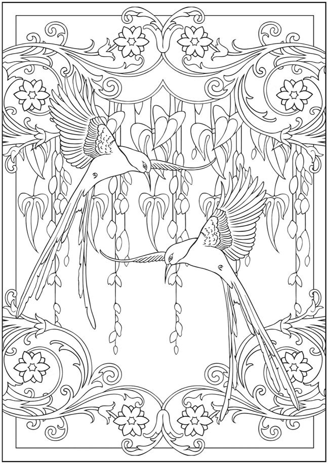 Colibrí #8115