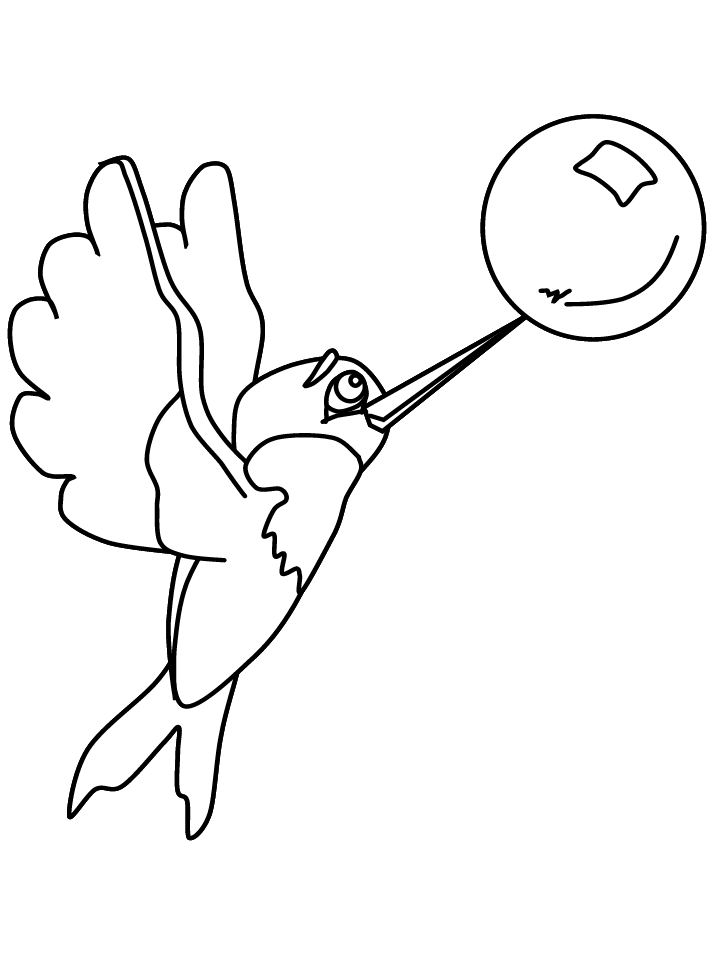 Colibrí #8119
