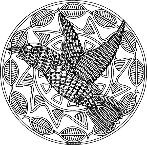 Colibrí #8120
