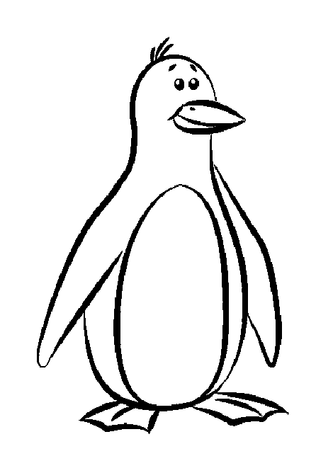 Pingüino #8125