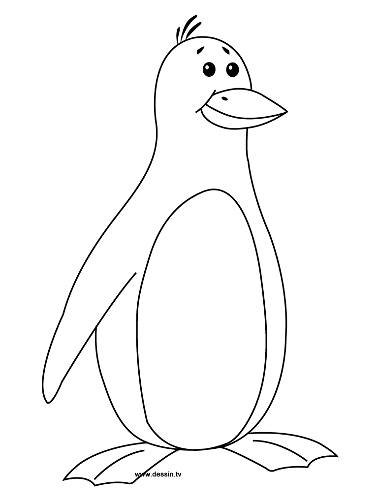 Pingüino #8126