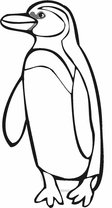 Pingüino #8140