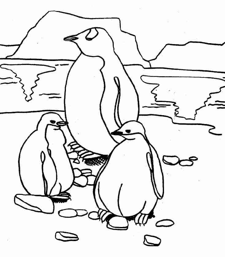Pingüino #8147