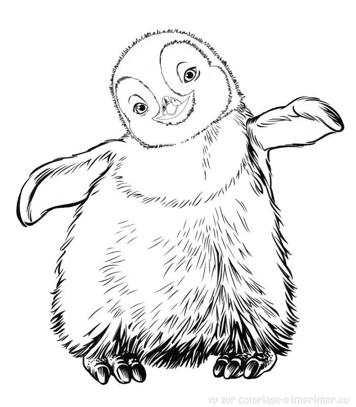 Pingüino #8149