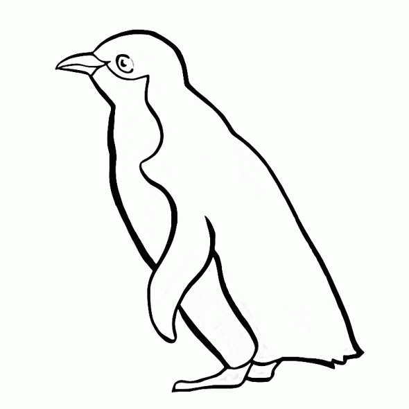 Pingüino #8150