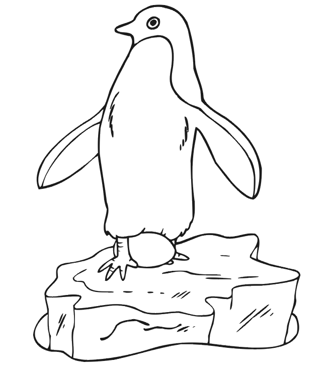 Pingüino #8151