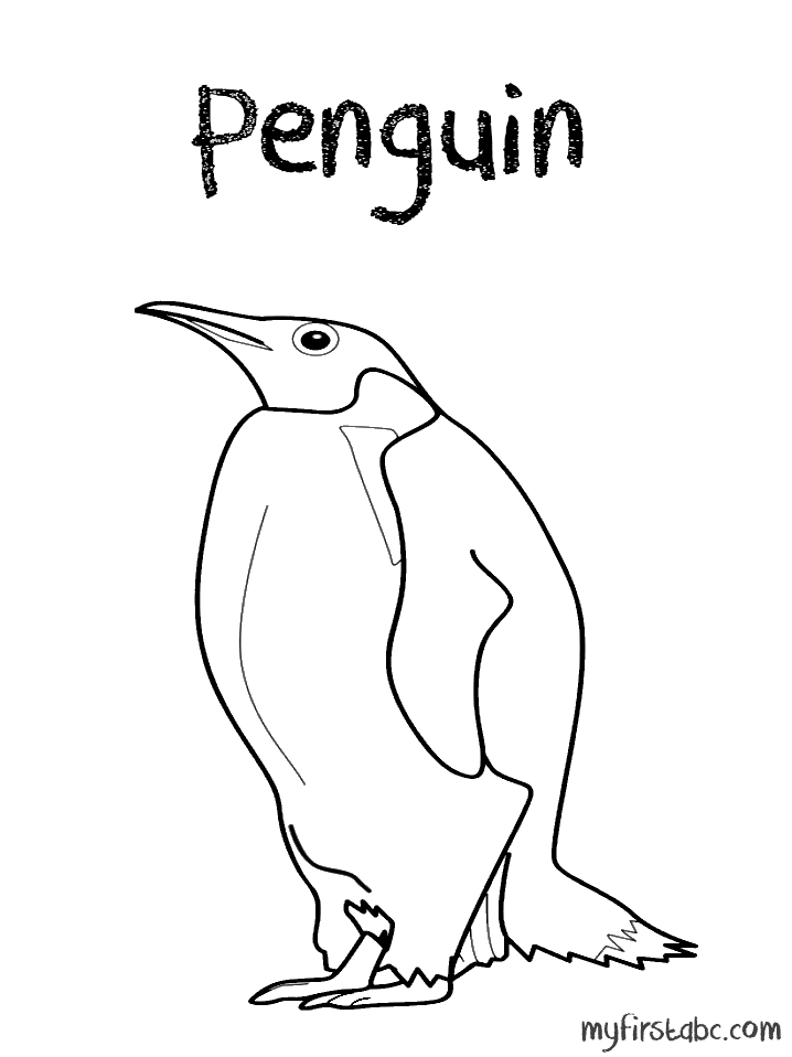 Pingüino #8158
