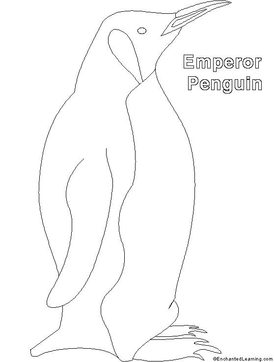 Pingüino #8161