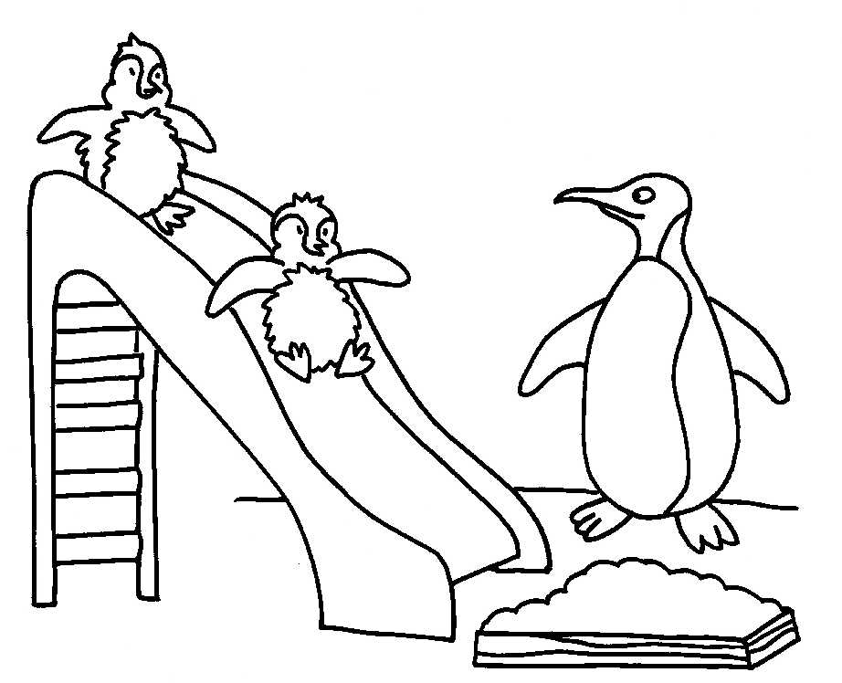 Pingüino #8162