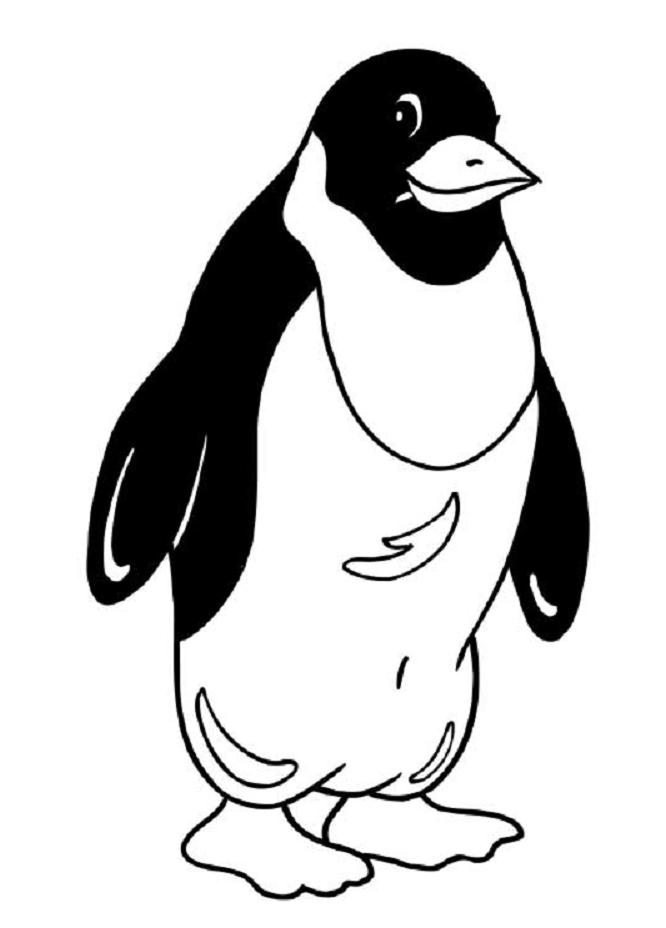 Pingüino #8164