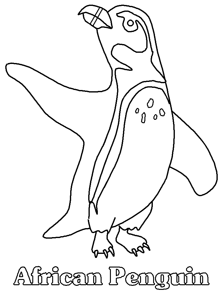 Pingüino #8169