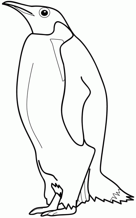 Pingüino #8177